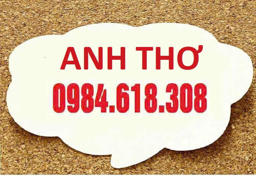 Bán biệt thự Mỹ Đình 2 mặt thoáng 195m2 đường ô tô tránh giá rẻ - Ảnh chính